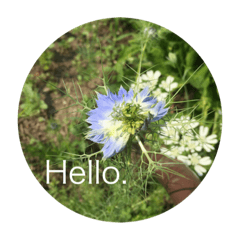 [LINEスタンプ] Hello.Flower stamp4