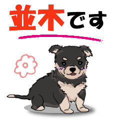 [LINEスタンプ] 並木さんが使う可愛い子犬の名前スタンプの画像（メイン）