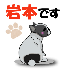 [LINEスタンプ] 岩本さんが使う可愛い子犬の名前スタンプ