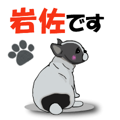 [LINEスタンプ] 岩佐さんが使う可愛い子犬の名前スタンプの画像（メイン）