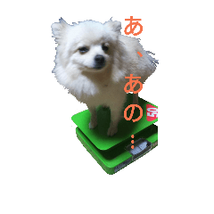 [LINEスタンプ] A dog living in a certain house