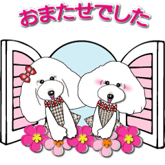 [LINEスタンプ] ふわもこプードルソフィア＆シャーロット#3