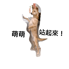 [LINEスタンプ] It's dog.