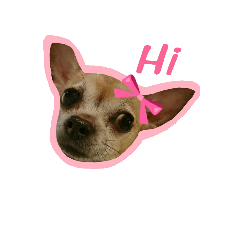 [LINEスタンプ] Gog dog