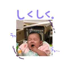 [LINEスタンプ] せいな