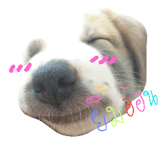 [LINEスタンプ] Funny Family Dog