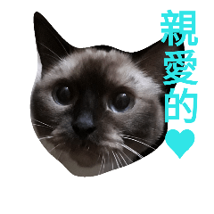 [LINEスタンプ] cat00cat