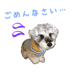 [LINEスタンプ] りき れん