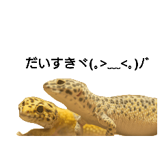 [LINEスタンプ] ラブレオパ