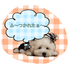 [LINEスタンプ] チャーミーグリーンJr