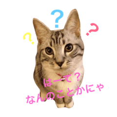 [LINEスタンプ] プーマイクのスタンプ