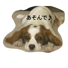 [LINEスタンプ] おとぼけはなちゃん♪