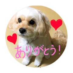 [LINEスタンプ] リアのキモチ