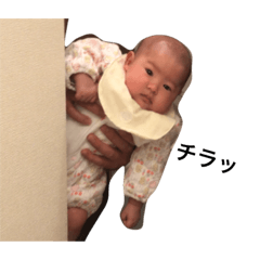 [LINEスタンプ] かのあスタンプ