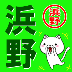 [LINEスタンプ] 超★浜野(はまの・はまや)なネコの画像（メイン）