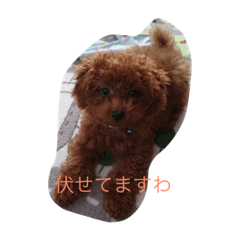 [LINEスタンプ] 他人にも使えるゆず