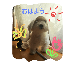 [LINEスタンプ] RUIとGINとTETU。