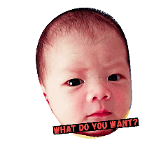 [LINEスタンプ] My name is TonMai.