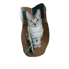 [LINEスタンプ] オシキャットのどらちゃん