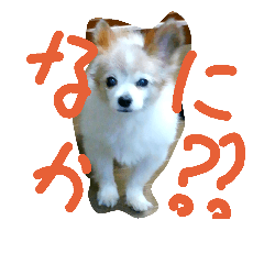 [LINEスタンプ] Cuty Lucky