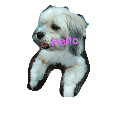 [LINEスタンプ] My name is Focus ka