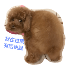 [LINEスタンプ] PP's daily