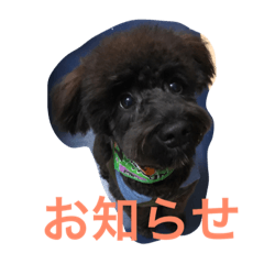 [LINEスタンプ] ノエベーと愉快な仲間達
