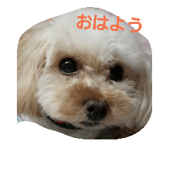 [LINEスタンプ] putti 1