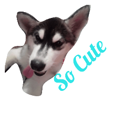 [LINEスタンプ] Moomoo Cute Dog