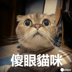 [LINEスタンプ] Jinboadog