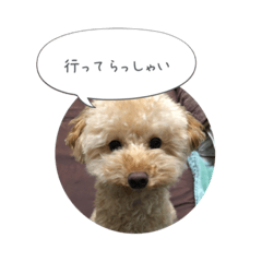 [LINEスタンプ] モカちゃんスタンプver2