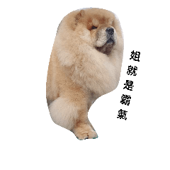 [LINEスタンプ] Chow Chow 1