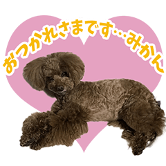 [LINEスタンプ] もこプー♡みかんサン