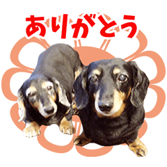 [LINEスタンプ] まどか♡しずか