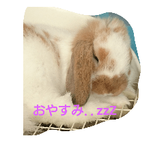 [LINEスタンプ] うさぎのちくわちゃん