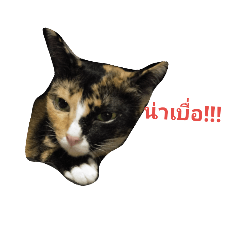 [LINEスタンプ] namngern