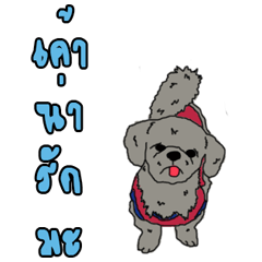 [LINEスタンプ] Winter with dogs in the house