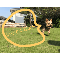 [LINEスタンプ] じぇみのスタンプ