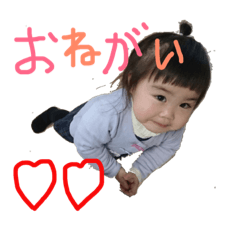 [LINEスタンプ] Sasada FAM
