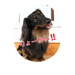 [LINEスタンプ] 大好き豆太郎