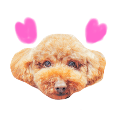 [LINEスタンプ] 自由気ままならいとくんスタンプ