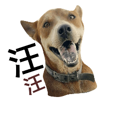 [LINEスタンプ] littledogdog2