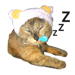 [LINEスタンプ] サビ猫メルの日常
