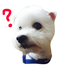 [LINEスタンプ] My name is Momotaro