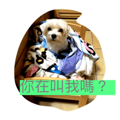 [LINEスタンプ] doggie ding
