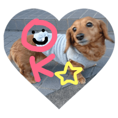 [LINEスタンプ] わんわん大好き
