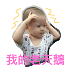 [LINEスタンプ] angry zebra
