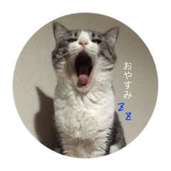 [LINEスタンプ] つきみとあずき。ときどきもなか