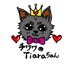 [LINEスタンプ] チワワのティアラちゃん