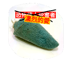 [LINEスタンプ] cat toy...